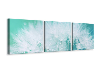 panoramic-3-piece-canvas-print-close-up-dandelion-in-morning-dew
