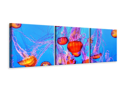 panoramic-3-piece-canvas-print-colorful-jellyfish