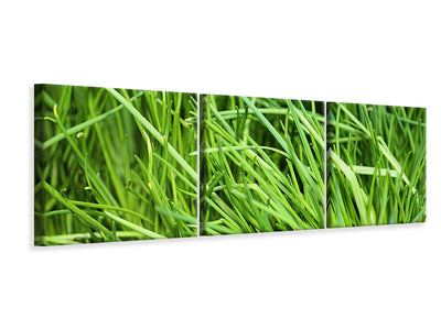 panoramic-3-piece-canvas-print-fresh-chives-xl
