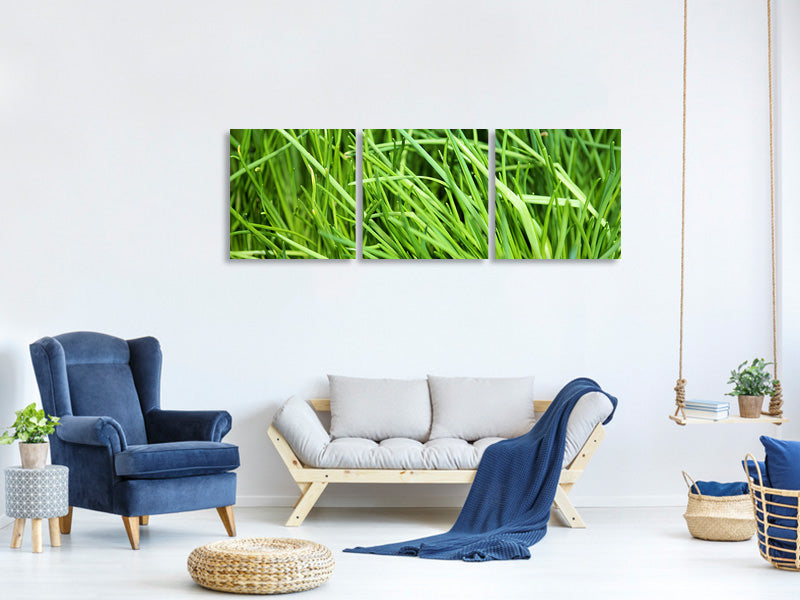 panoramic-3-piece-canvas-print-fresh-chives-xl