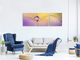 panoramic-3-piece-canvas-print-in-arms
