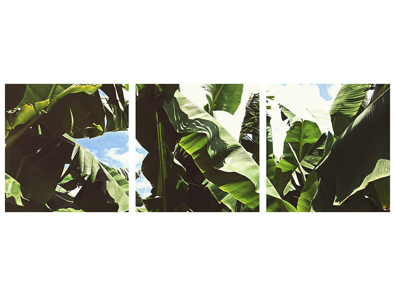 panoramic-3-piece-canvas-print-in-the-middle-of-the-jungle