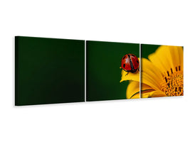 panoramic-3-piece-canvas-print-ladybug-on-the-sunflower