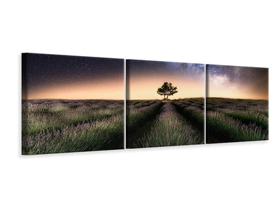 panoramic-3-piece-canvas-print-lavender-way