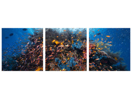 panoramic-3-piece-canvas-print-life-explosion