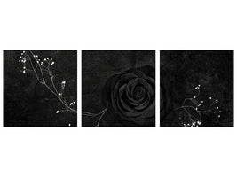 panoramic-3-piece-canvas-print-rose-noire