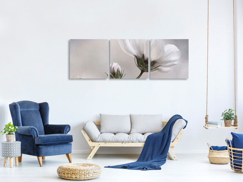 panoramic-3-piece-canvas-print-simply-cosmos