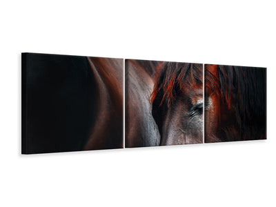 panoramic-3-piece-canvas-print-sleep-huddle