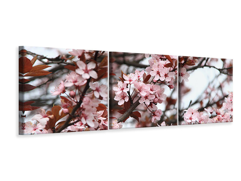 panoramic-3-piece-canvas-print-spring-is-here