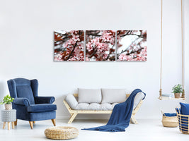 panoramic-3-piece-canvas-print-spring-is-here