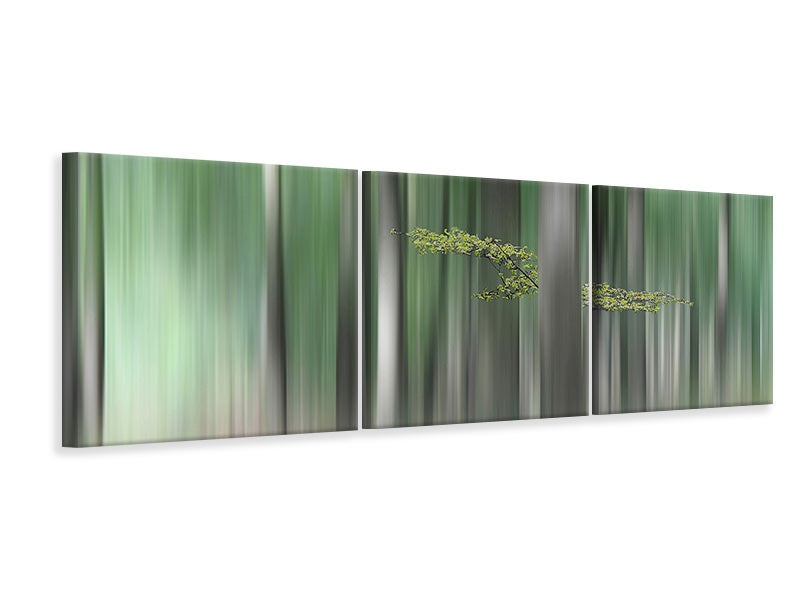 panoramic-3-piece-canvas-print-summermorning
