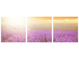 panoramic-3-piece-canvas-print-sunset-in-lavender-field