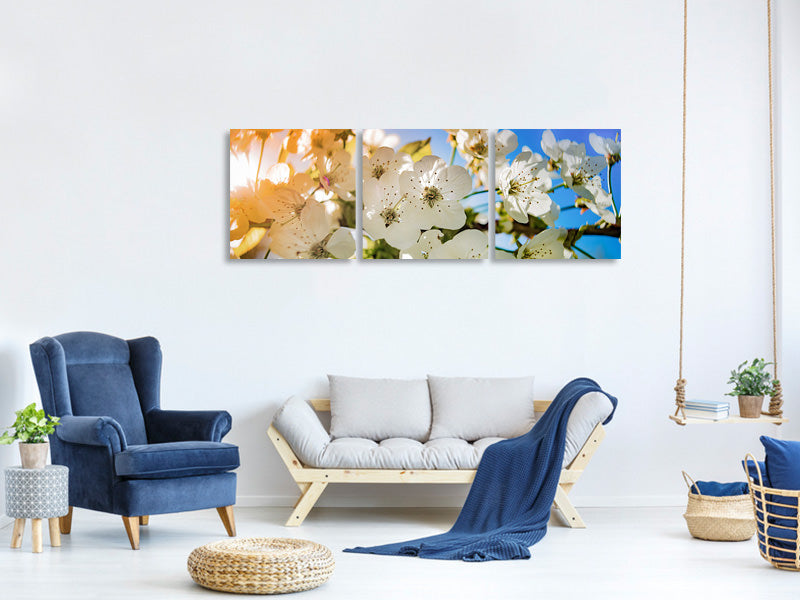 panoramic-3-piece-canvas-print-the-apple-tree-blossom