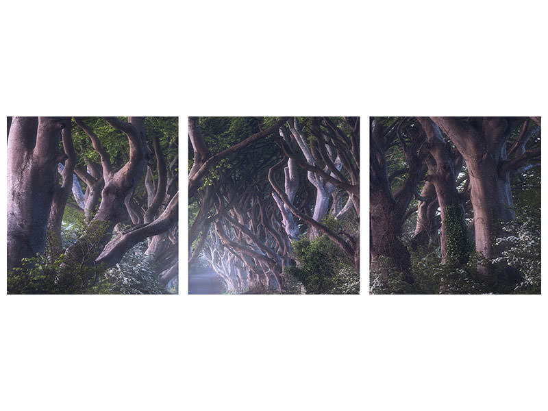 panoramic-3-piece-canvas-print-the-dark-hedges