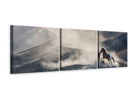panoramic-3-piece-canvas-print-the-horseman