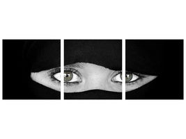 panoramic-3-piece-canvas-print-the-language-of-the-eyes