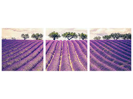 panoramic-3-piece-canvas-print-the-lavender-field-ii