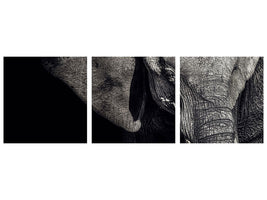 panoramic-3-piece-canvas-print-the-matriarch