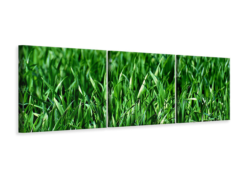 panoramic-3-piece-canvas-print-the-meadow-in-xl
