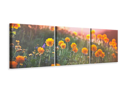panoramic-3-piece-canvas-print-the-mountain-meadow
