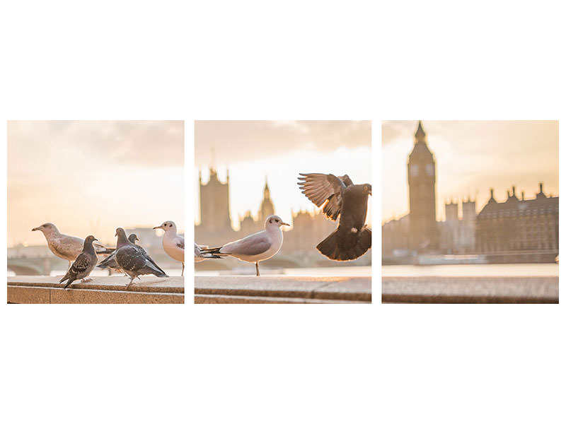 panoramic-3-piece-canvas-print-the-pigeons-on-the-roof