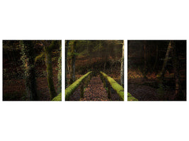 panoramic-3-piece-canvas-print-the-way-to-the-forest