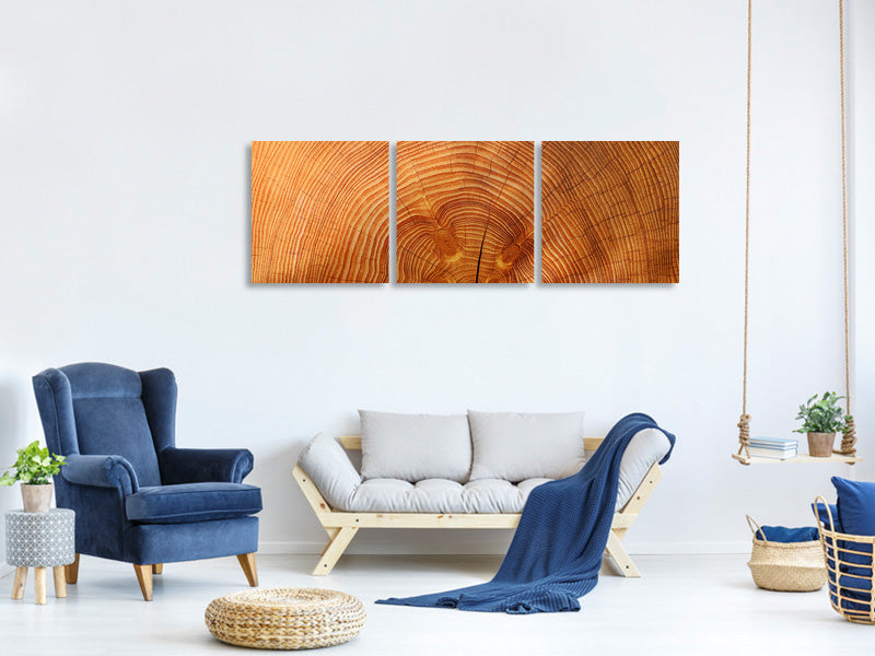 panoramic-3-piece-canvas-print-tree-rings