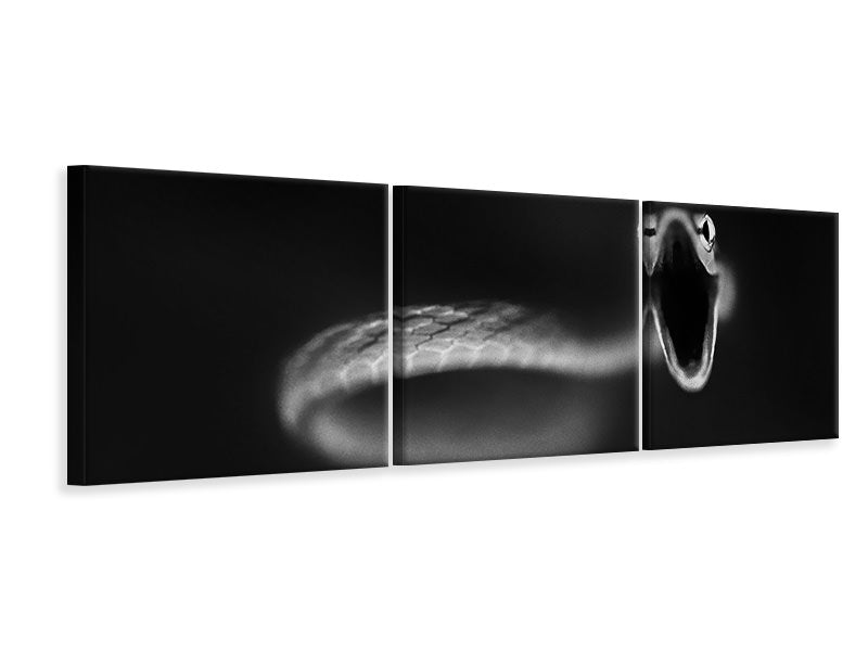 panoramic-3-piece-canvas-print-vine-snake-strike