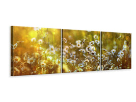 panoramic-3-piece-canvas-print-wonderland