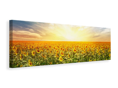 panoramic-canvas-print-a-field-full-of-sunflowers