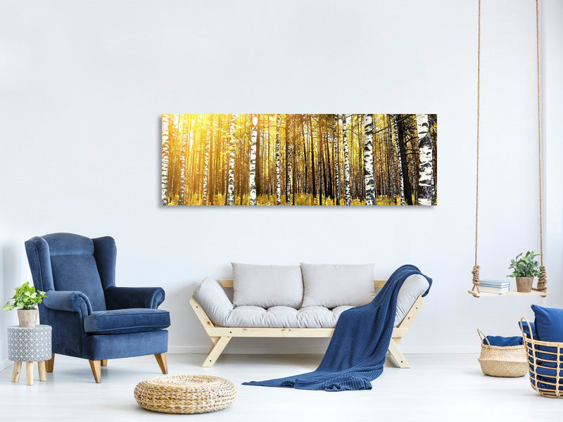 panoramic-canvas-print-birch-forest