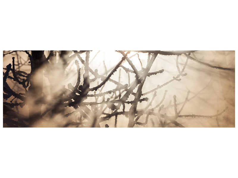 panoramic-canvas-print-branches-in-fog-light