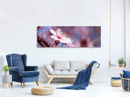 panoramic-canvas-print-close-up-cherry-blossom
