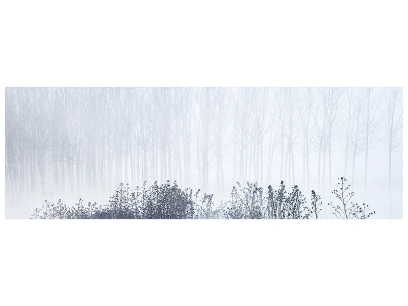 panoramic-canvas-print-cold-and-foggy-morning-in-the-swamp