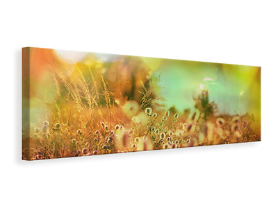 panoramic-canvas-print-flower-meadow-at-twilight