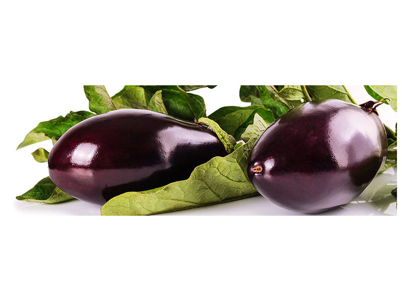 panoramic-canvas-print-fresh-eggplants