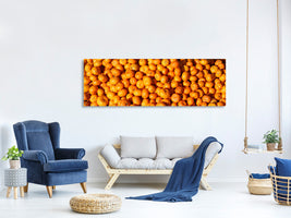 panoramic-canvas-print-fresh-mandarins