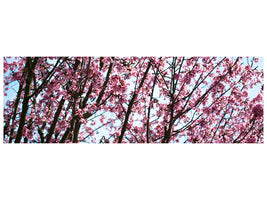 panoramic-canvas-print-japanese-cherry-blossom