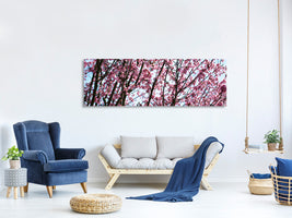 panoramic-canvas-print-japanese-cherry-blossom