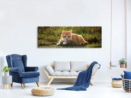 panoramic-canvas-print-kitten-in-nature