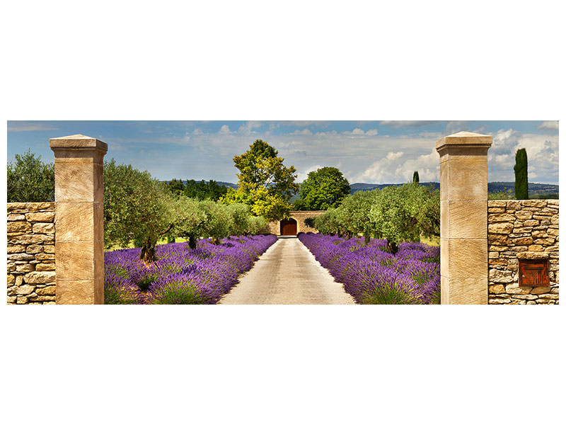panoramic-canvas-print-lavender-garden