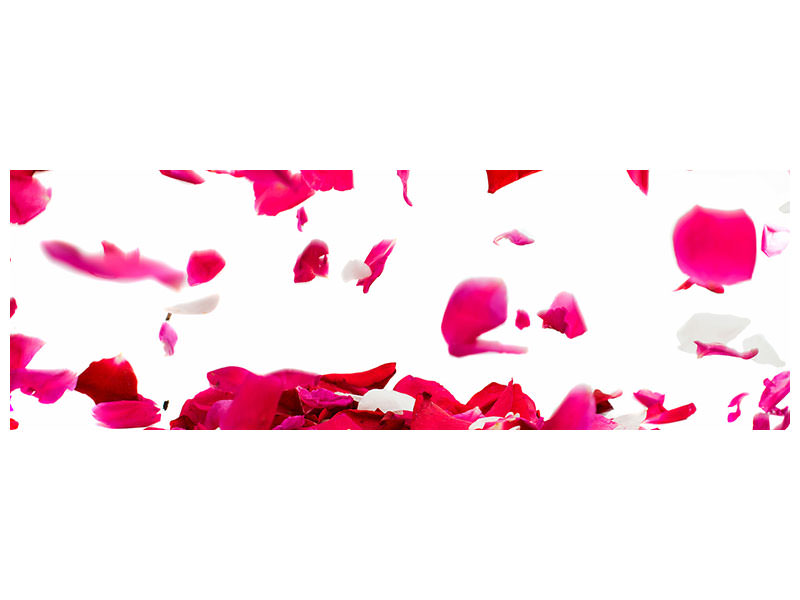 panoramic-canvas-print-let-it-rain-red-roses-for-me