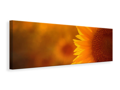 panoramic-canvas-print-macro-sunflower