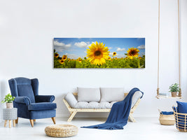 panoramic-canvas-print-summer-sunflowers