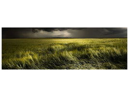panoramic-canvas-print-summer-weather