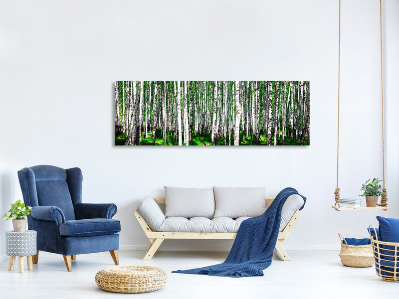 panoramic-canvas-print-summerly-birch-forest