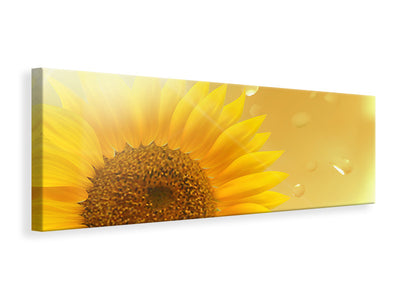 panoramic-canvas-print-sunflower-in-morning-dew
