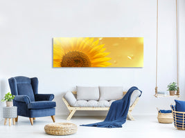 panoramic-canvas-print-sunflower-in-morning-dew