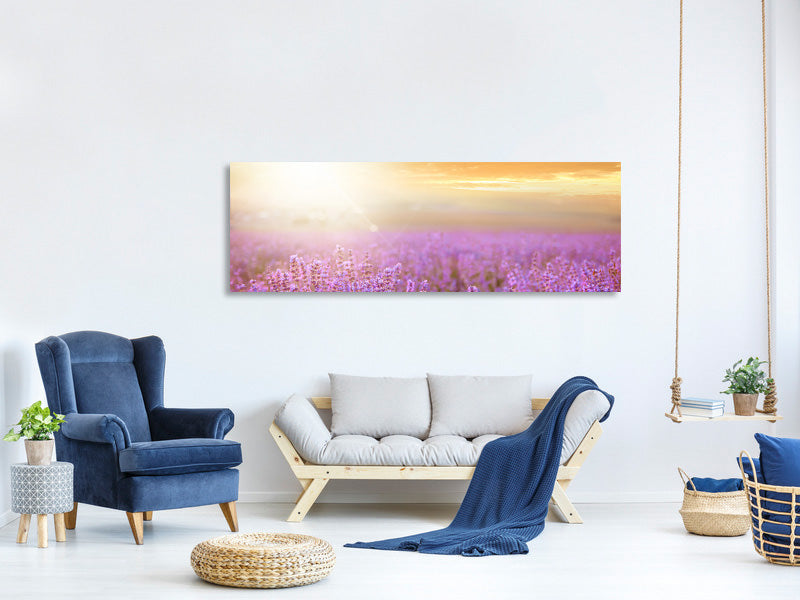 panoramic-canvas-print-sunset-in-lavender-field