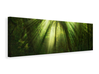 panoramic-canvas-print-the-miracle